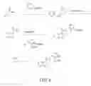 Fig. 07 - 5-HT3 receptor antagonists and methods of use