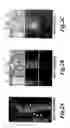 Fig. 03 - Novel compositions and methods for modulation of the acid-sensing ion channel (ASIC) for the treatment of anxiety and drug addiction