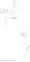 Fig. 111 - SUBSTITUTED DIPIPERIDINE CCR2 ANTAGONISTS