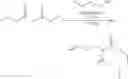 Fig. 19 - Process for the preparation of the PPAR alpha agonist NS-220
