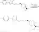 Fig. 27 - Process for the preparation of the PPAR alpha agonist NS-220