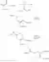 Fig. 386 - Cannabinoid receptor modulators