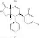 Fig. 808 - Cannabinoid receptor modulators