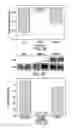 Fig. 04 - Weight loss induced by reduction in neuropeptide level