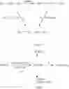 Fig. 04 - COMBINATION OF A CB1 RECEPTOR ANTAGONIST AND OF A PRODUCT WHICH ACTIVATES DOPAMINERGIC NEUROTRANSMISSION IN THE BRAIN, THE PHARMACEUTICAL COMPOSITIONS COMPRISING THEM AND THEIR USE IN THE TREATMENT OF PARKINSON'S DISEASE