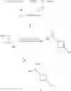Fig. 22 - COMBINATION OF A CB1 RECEPTOR ANTAGONIST AND OF A PRODUCT WHICH ACTIVATES DOPAMINERGIC NEUROTRANSMISSION IN THE BRAIN, THE PHARMACEUTICAL COMPOSITIONS COMPRISING THEM AND THEIR USE IN THE TREATMENT OF PARKINSON'S DISEASE