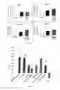Fig. 03 - Method for treating non-inflammatory musculoskeletal pain