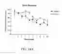 Fig. 20 - Methods of treating memory and cognitive impairments in humans following stroke and traumatic brain injury