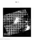 Fig. 06 - Synthesis of MDH-polymer hybrid particles