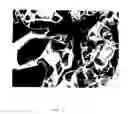 Fig. 02 - Porous body formed of sericin