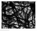 Fig. 01 - Composite nanofiber, composite nanofiber association, complex structure, and production method thereof