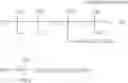 Fig. 16 - Polymer for masonry treatment and treating agent