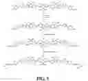Fig. 06 - Organic light emitting device compositions, devices, and methods of making