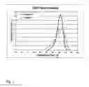 Fig. 02 - Polymer film comprising a propylene random copolymer