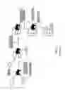 Fig. 02 - Processable molecularly imprinted polymers