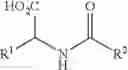 Fig. 19 - Method of amidocarbonylation reaction