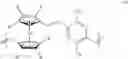 Fig. 22 - Ferrocene-containing polymers and organic memory devices comprising the same