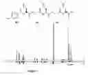 Fig. 04 - Methods for the synthesis of two or more dicarba bridges in organic compounds