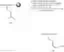Fig. 167 - Methods for the synthesis of two or more dicarba bridges in organic compounds