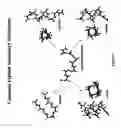 Fig. 12 - Methods for preparing internally constrained peptides and peptidomimetics