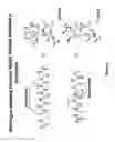 Fig. 13 - Methods for preparing internally constrained peptides and peptidomimetics