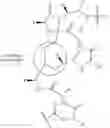 Fig. 19 - Methods for preparing internally constrained peptides and peptidomimetics