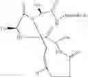 Fig. 24 - Methods for preparing internally constrained peptides and peptidomimetics