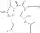 Fig. 25 - Methods for preparing internally constrained peptides and peptidomimetics