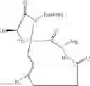 Fig. 26 - Methods for preparing internally constrained peptides and peptidomimetics