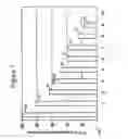 Fig. 02 - Adrenocorticotropic hormone analogs and related methods