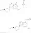 Fig. 24 - Process for producing dioxolane nucleoside analogues
