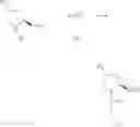 Fig. 15 - Method for preparing pyrrolidine oximes