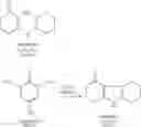 Fig. 31 - Compounds and methods for carbazole synthesis
