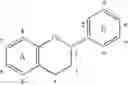 Fig. 02 - Synthesis of 4alpha-arylepicatechins