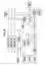 Fig. 19 - Encapsulated endoscope system in which endoscope moves in lumen by itself and rotation of image of region to be observed is ceased