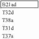 Fig. 04 - Diagnostic tool