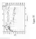 Fig. 14 - MRI imageable liposomes for the evaluation of treatment efficacy, thermal distribution, and demonstration of dose painting