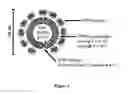 Fig. 17 - MRI imageable liposomes for the evaluation of treatment efficacy, thermal distribution, and demonstration of dose painting