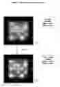 Fig. 09 - System, method, and product for imaging probe arrays with small feature sizes