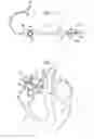 Fig. 03 - Mapping of complex fractionated atrial electrogram