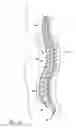 Fig. 07 - Hand-held instruments that access interior body regions