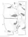 Fig. 04 - Orthopedic supports and method of using same