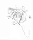 Fig. 06 - Orthopedic supports and method of using same