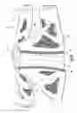 Fig. 09 - Orthopedic supports and method of using same