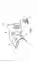 Fig. 16 - Orthopedic supports and method of using same