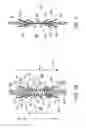 Fig. 03 - MEMBRANE EYELET