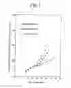 Fig. 02 - Block copolymer elastomer catheter balloons