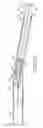 Fig. 12 - Safety syringe
