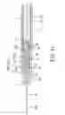 Fig. 12 - Disposable syringe