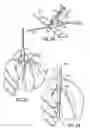 Fig. 14 - Blood collection device